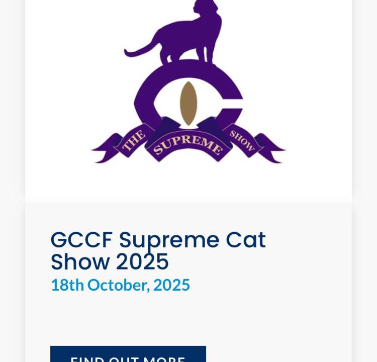 Photo of Others in Weston by Wellend