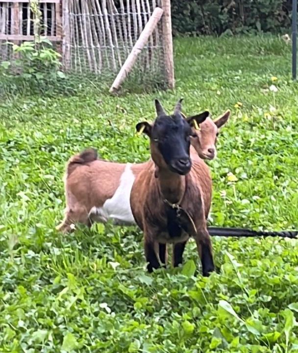 Photo of Outdoor in La Capelle-Bleys