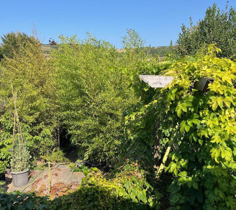 Photo of Others in Worthing