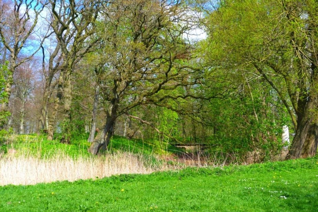 Photo of Others in Hojer