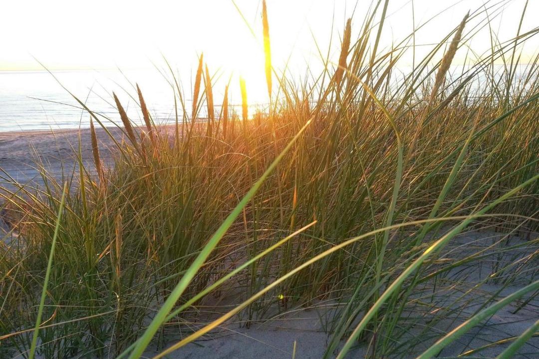 Photo of Others in Hirtshals