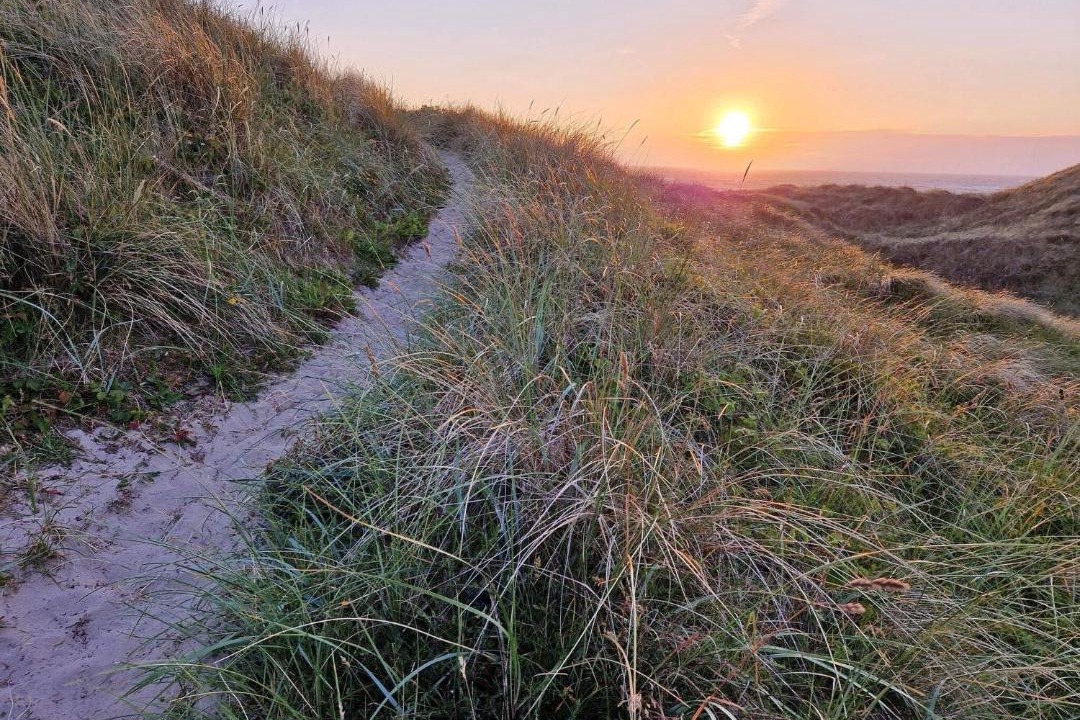 Photo of Others in Hirtshals
