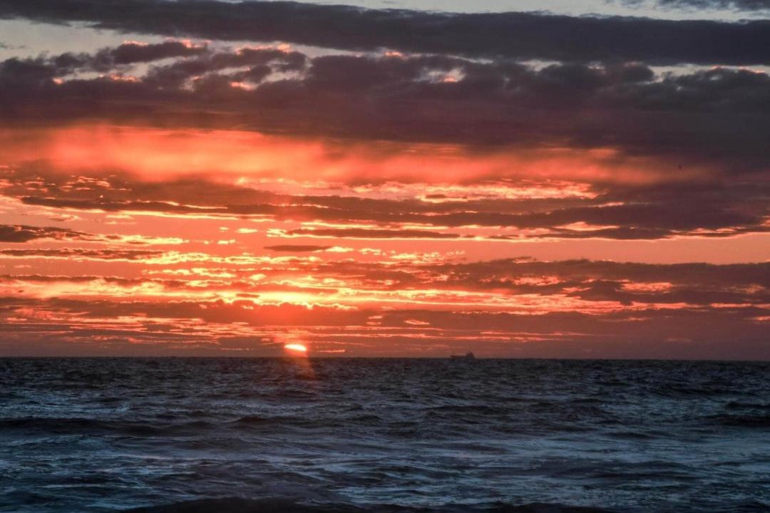 Photo of Others in Hirtshals