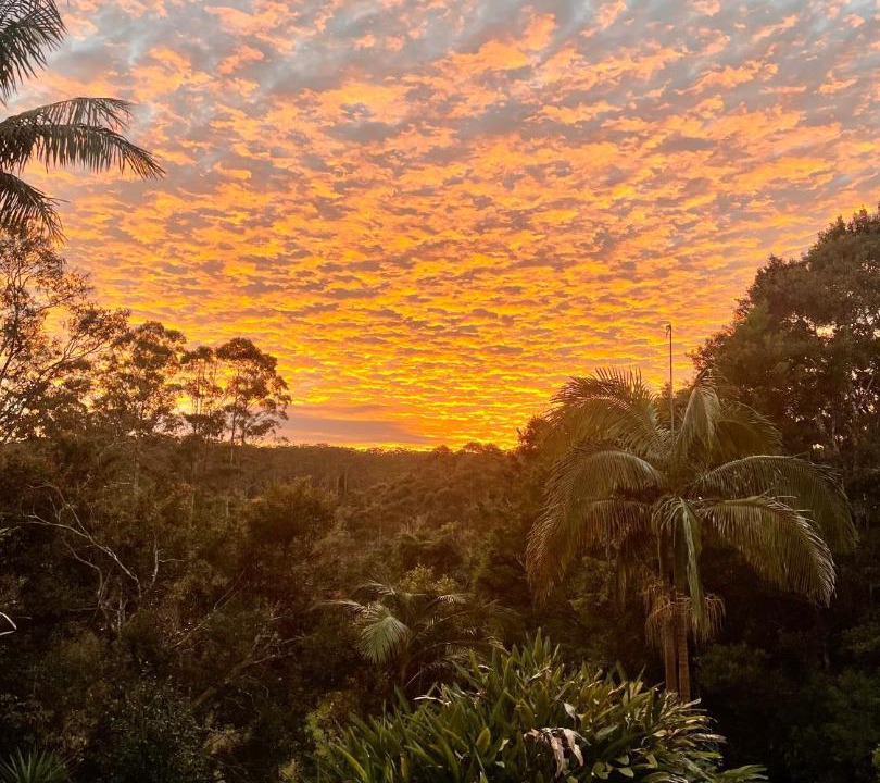 Photo of Others in Whian Whian