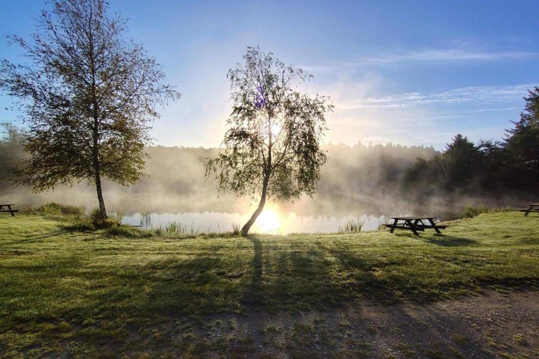 Photo of Others in Arrild Ferieby