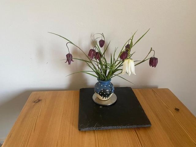 Photo of Others in Dorking