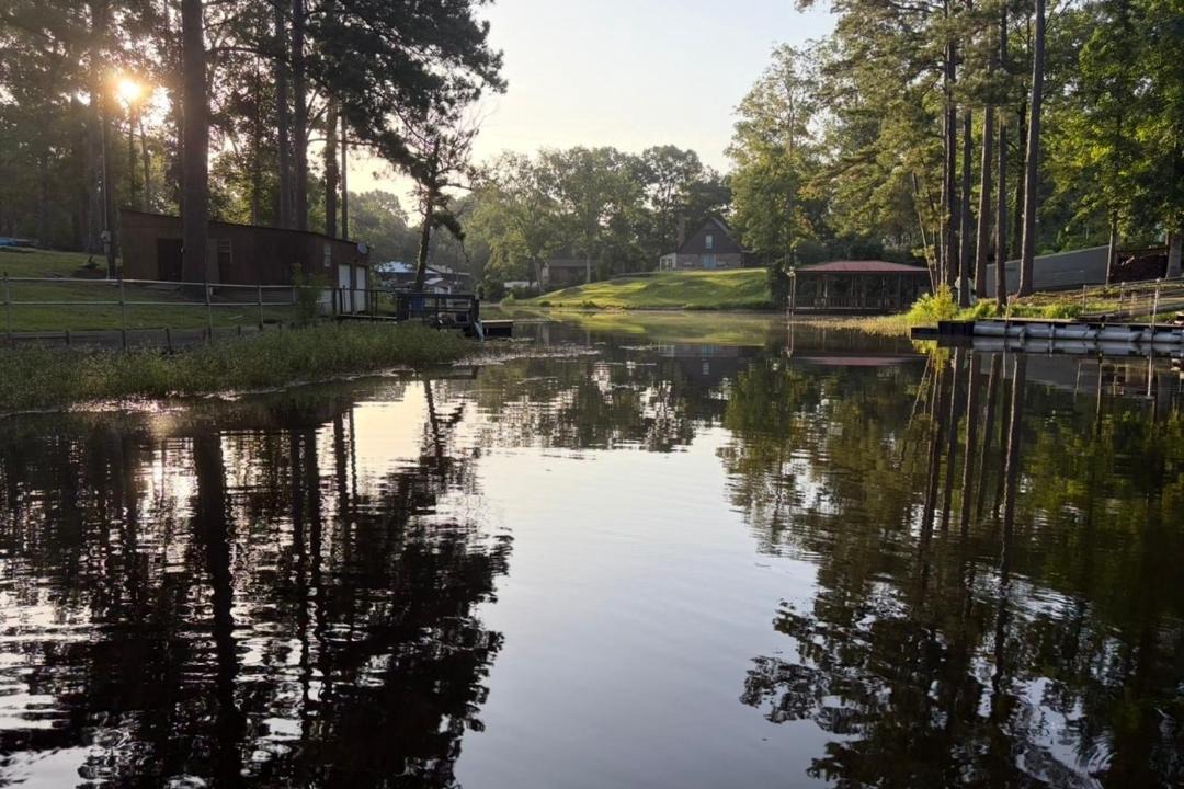 Photo of Others in Hemphill
