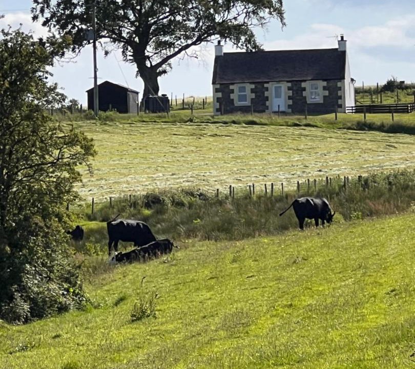 Photo of Others in Newbridge