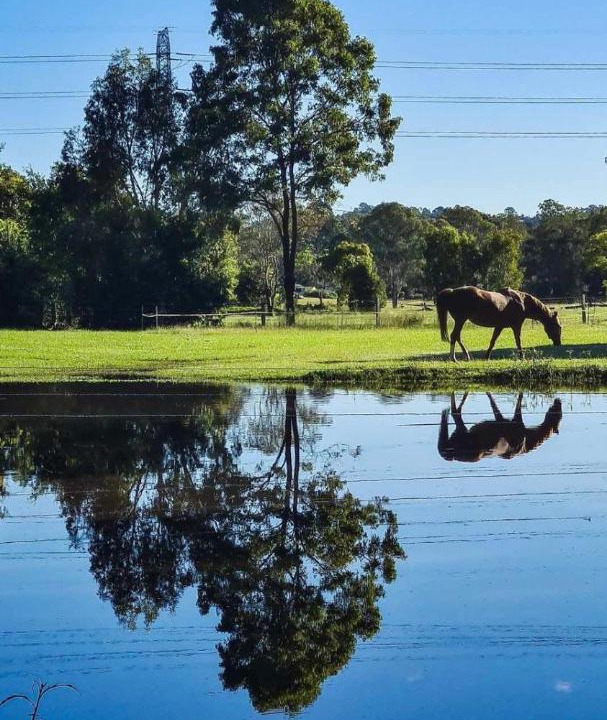 Photo of Others in Cedar Creek