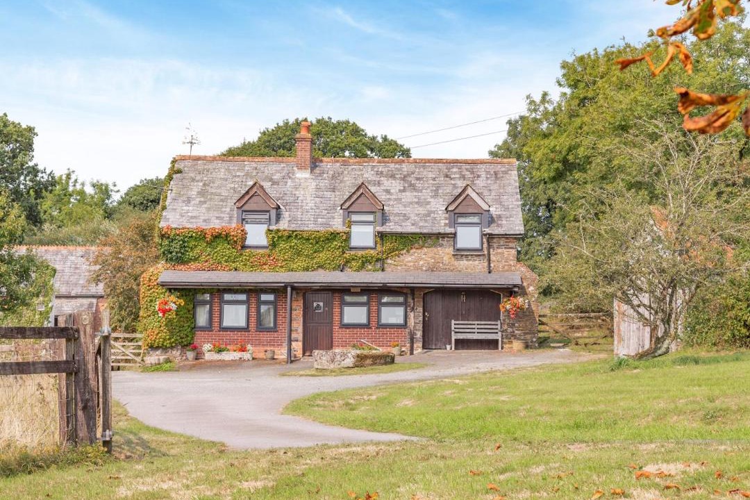 Photo of Others in Lifton