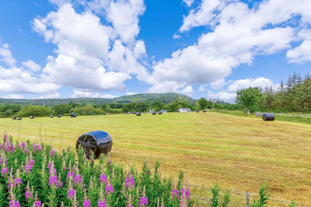 Photo of Others in Ardgay