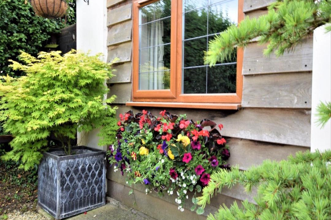 Photo of Others in Devizes