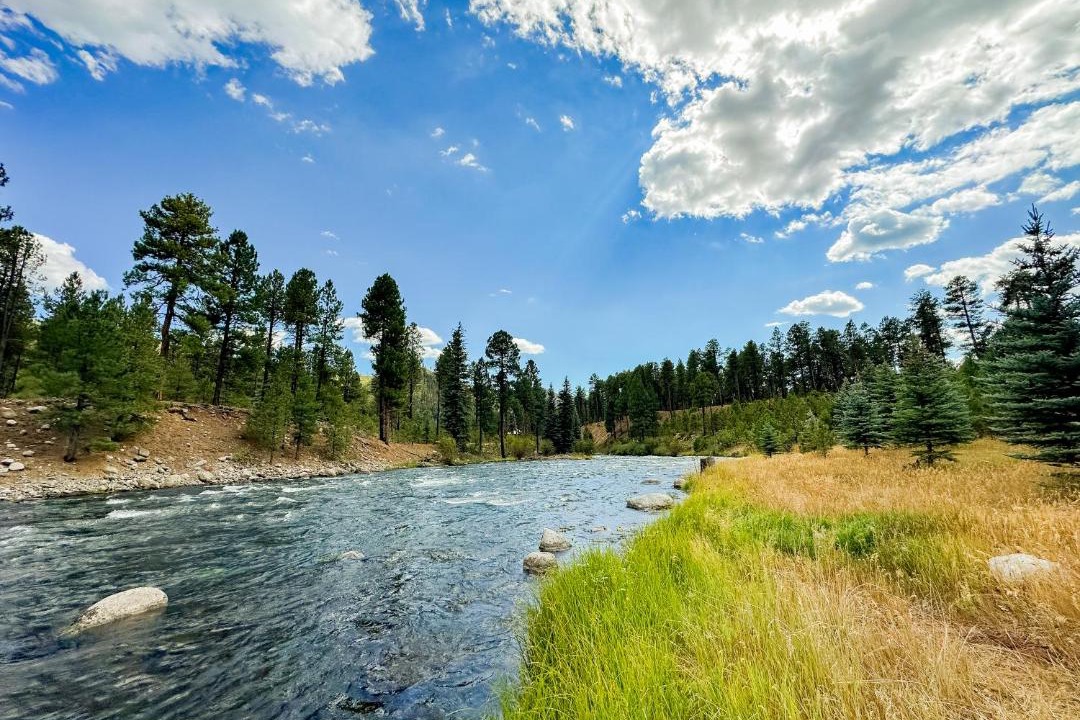 Photo of Others in Vallecito