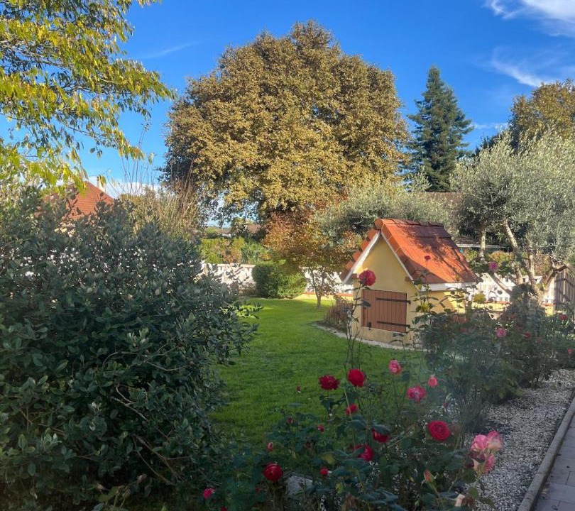 Photo of Others in Ramous