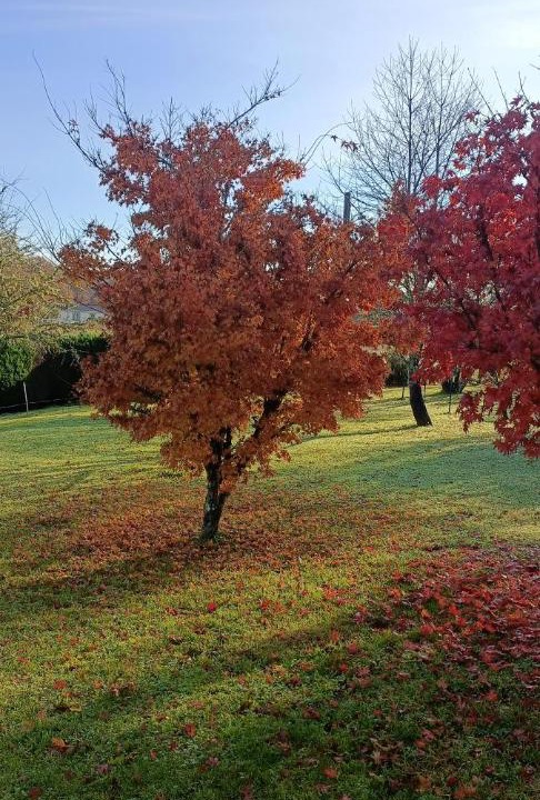 Photo of Others in Lucbardez-et-Bargues