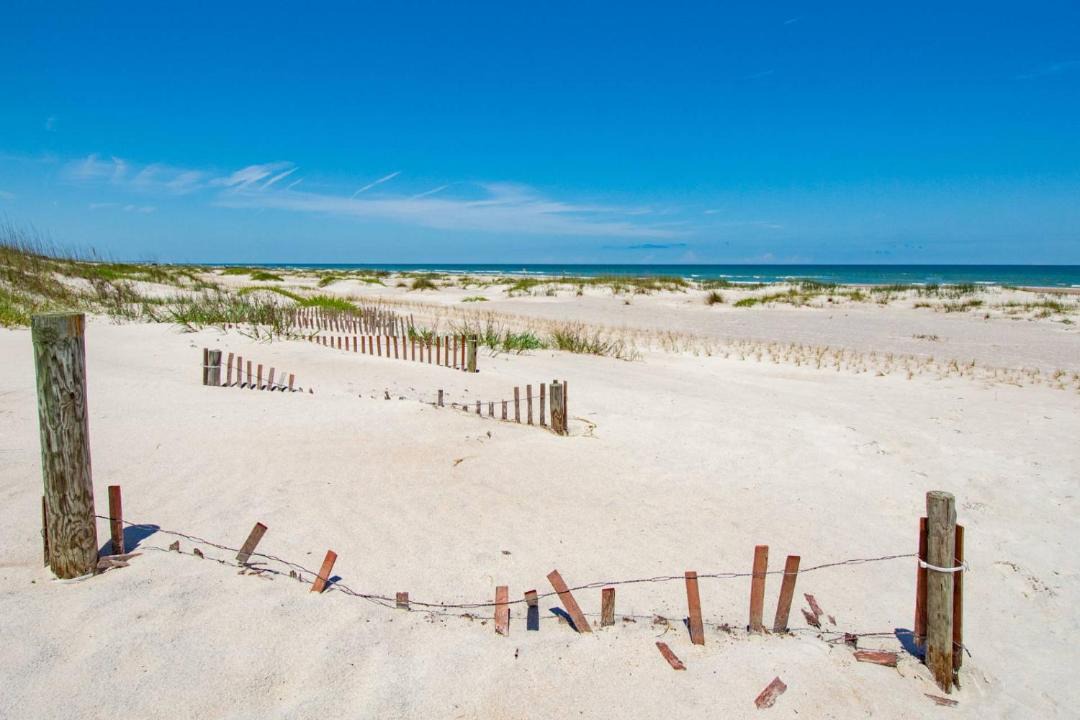 Photo of Others in St. Augustine Beach