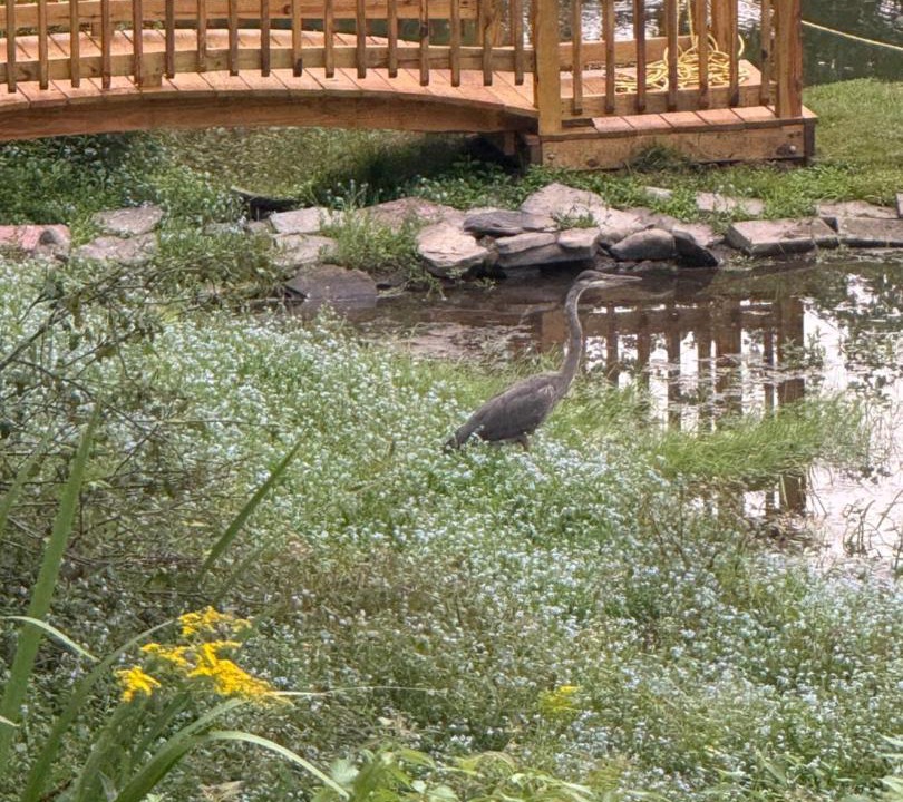 Photo of Others in Susquehanna