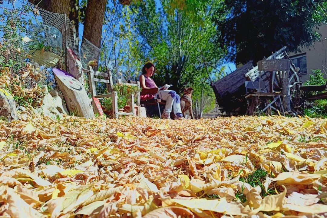 Photo of Others in Peralejos de las Truchas