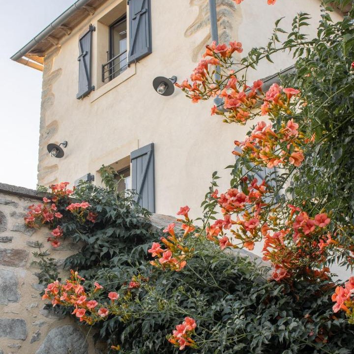 Photo of Others in Colombies