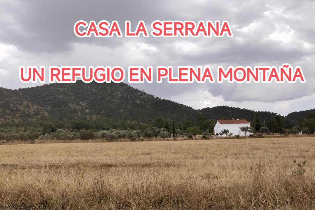 Photo of Others in Yecla