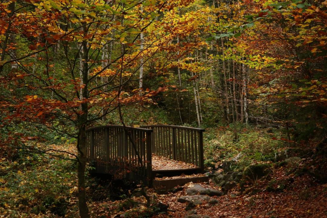 Photo of Others in Le Hohwald
