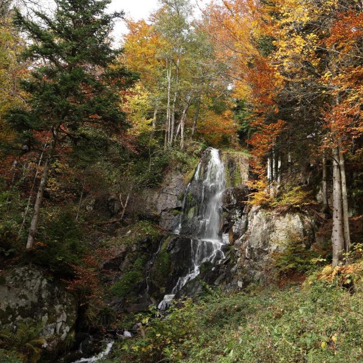 Photo of Others in Le Hohwald