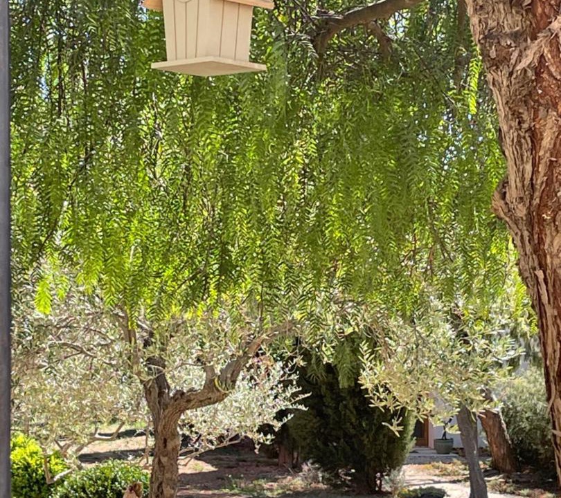 Photo of Others in Opoul-Perillos