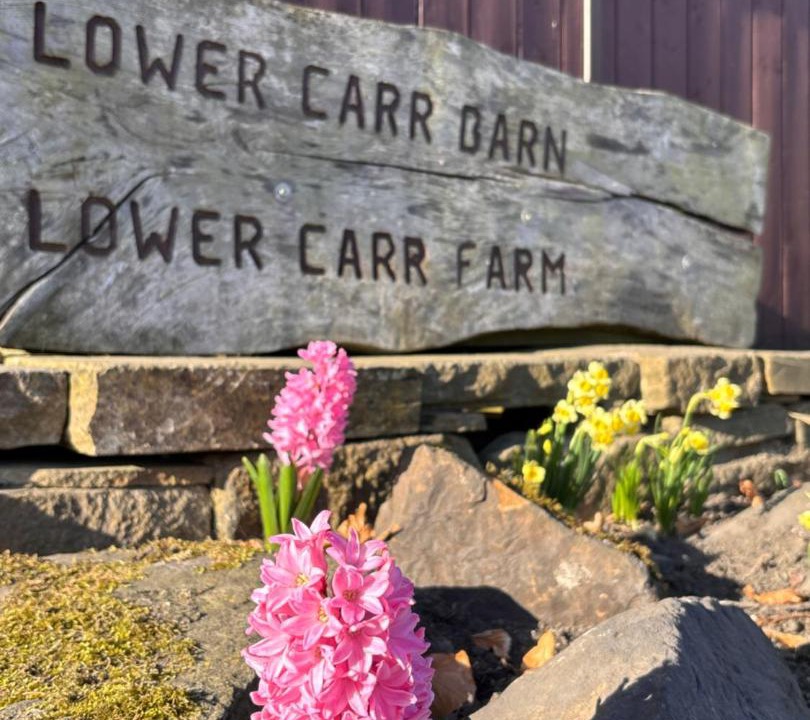 Photo of Others in Rastrick