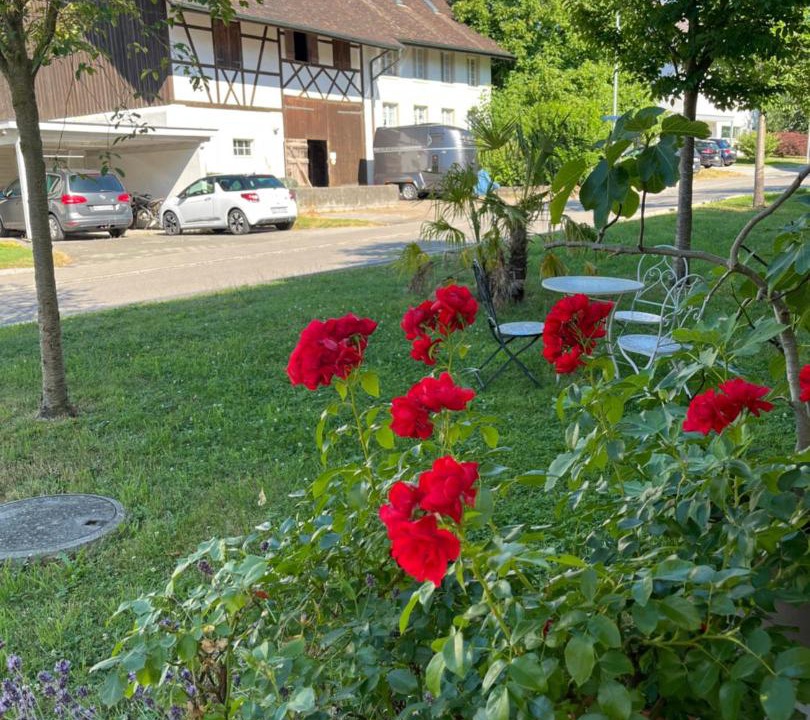 Photo of Others in Schneisingen