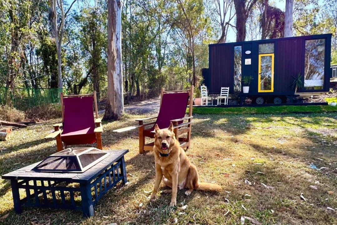 Photo of Others in Cedar Creek