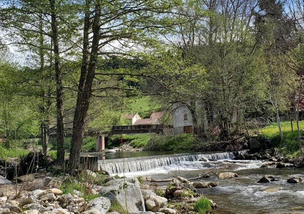 Photo of Others in Saint-Cirgues-en-Montagne