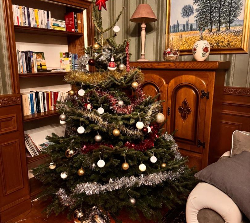 Photo of Livingroom in Pas-de-Jeu