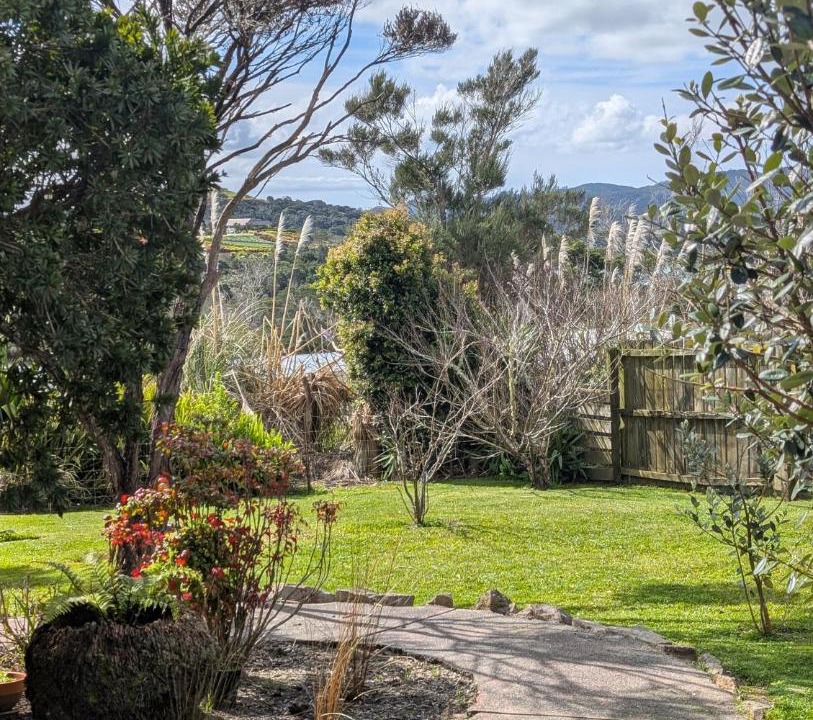 Photo of Others in Mangonui