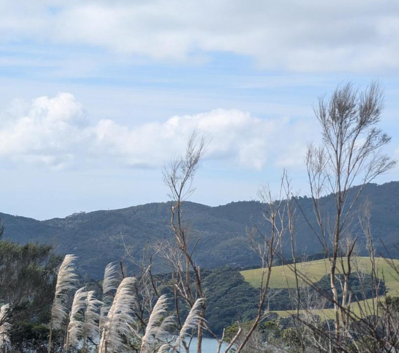 Photo of Others in Mangonui