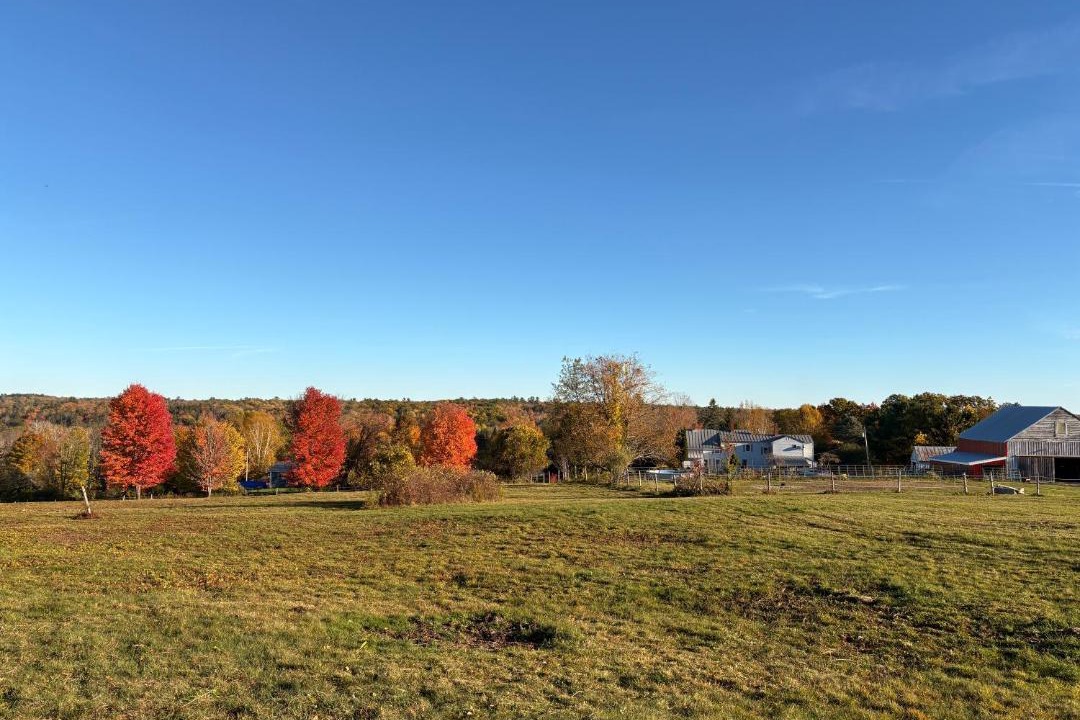 Photo of Others in Oakland