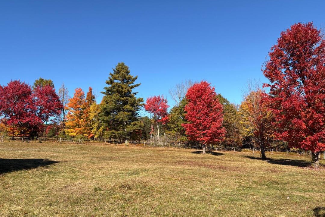 Photo of Others in Oakland