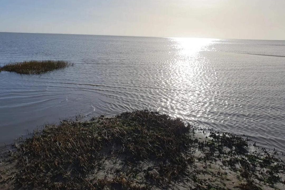 Photo of Others in Skaerbaek