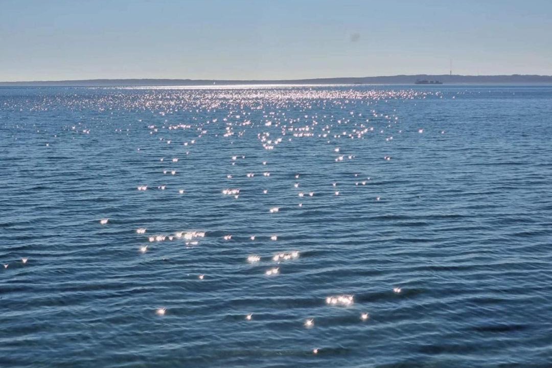 Photo of Others in Skaerbaek