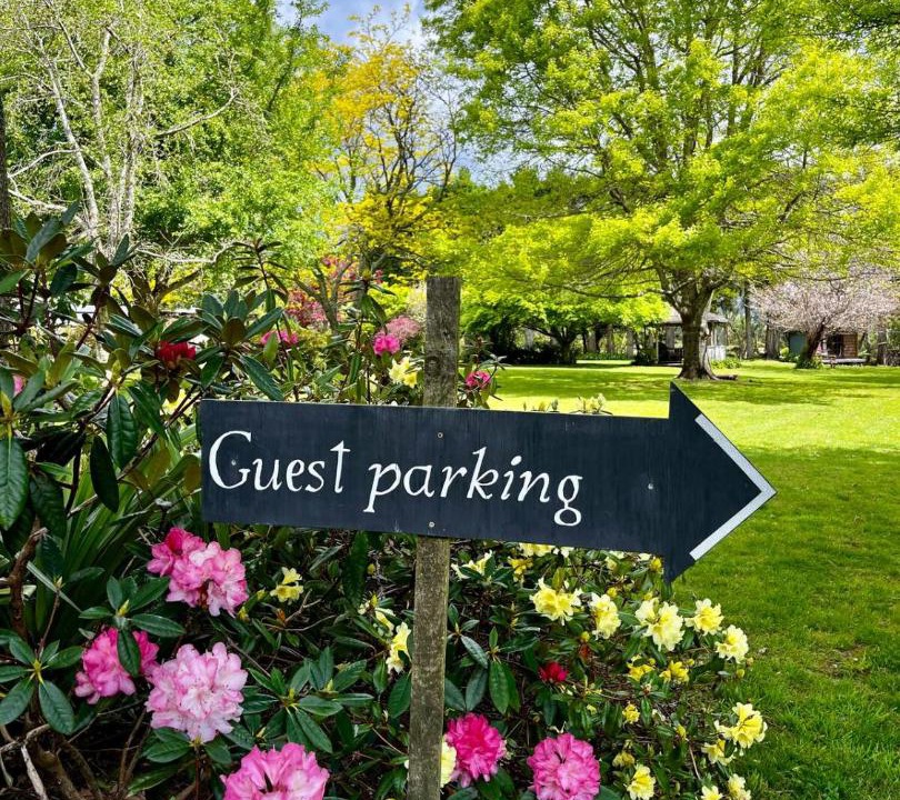 Photo of Others in Aongatete