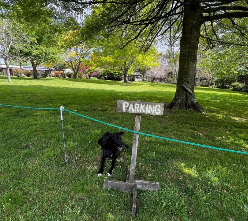 Photo of Others in Aongatete