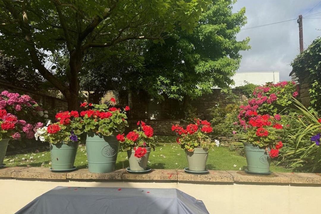 Photo of Others in Tetbury