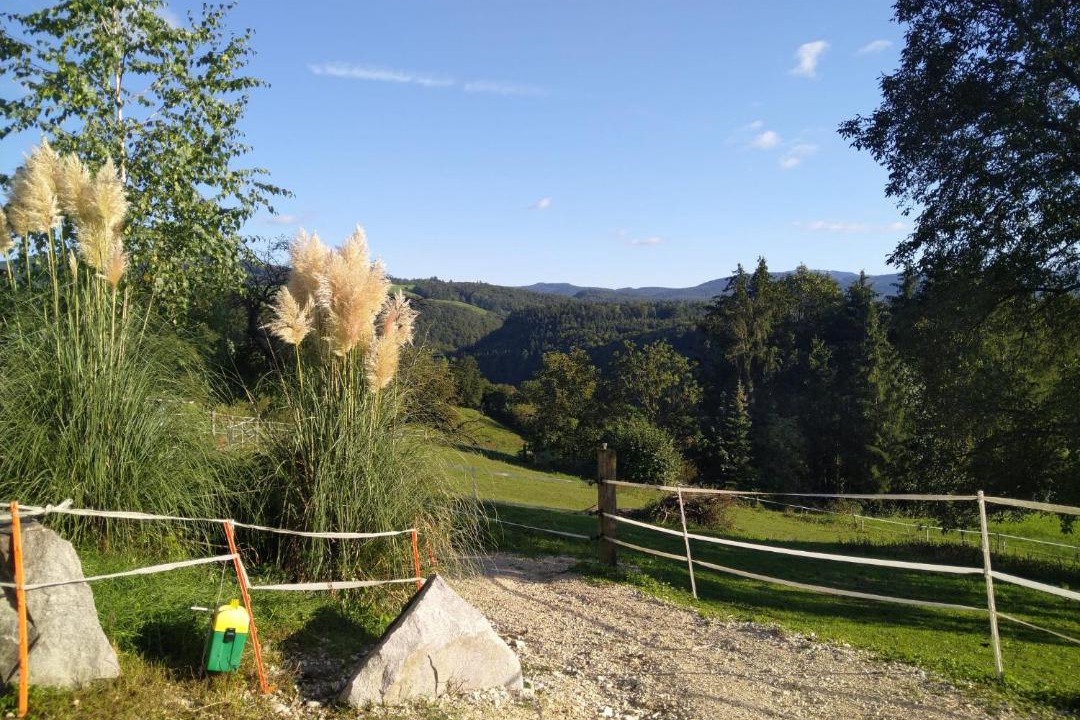 Photo of Others in Nenzlingen