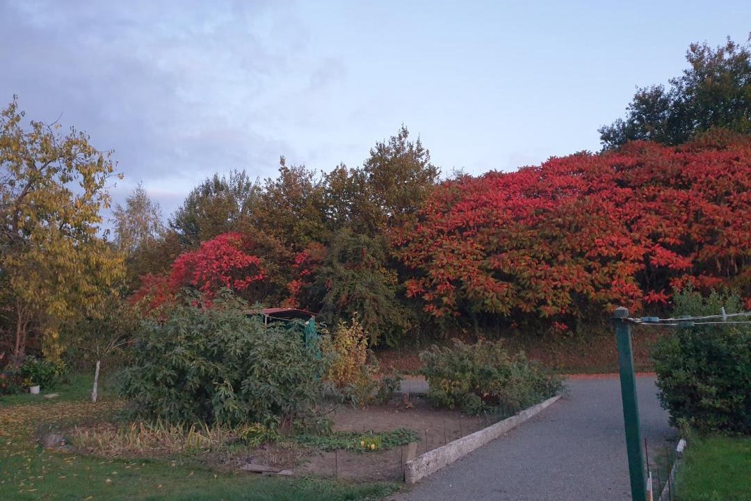 Photo of Others in Ceton