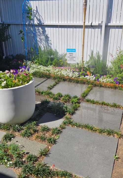 Photo of Others in Hay