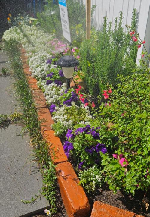 Photo of Others in Hay