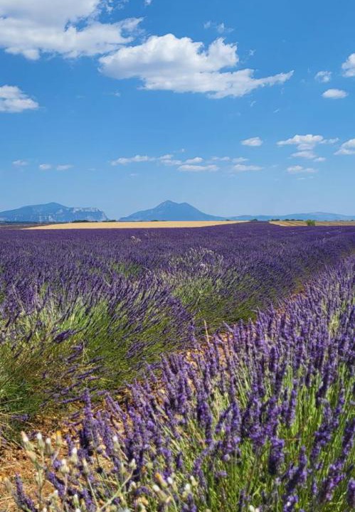 Photo of Others in Annot