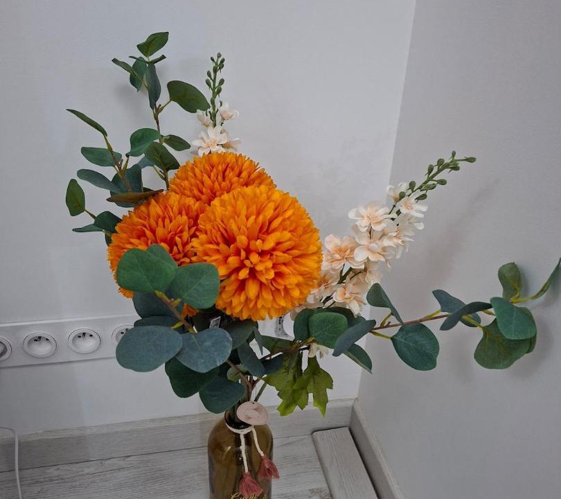 Photo of Others in L'Ile-Bouchard