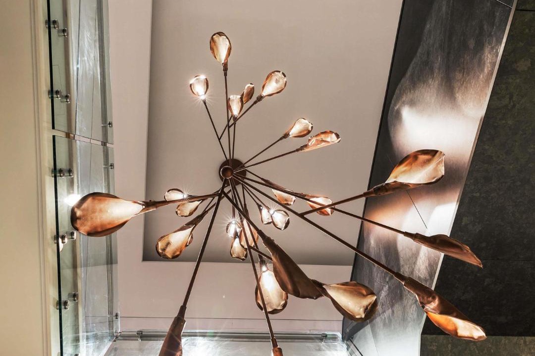 Photo of Others in Wellington