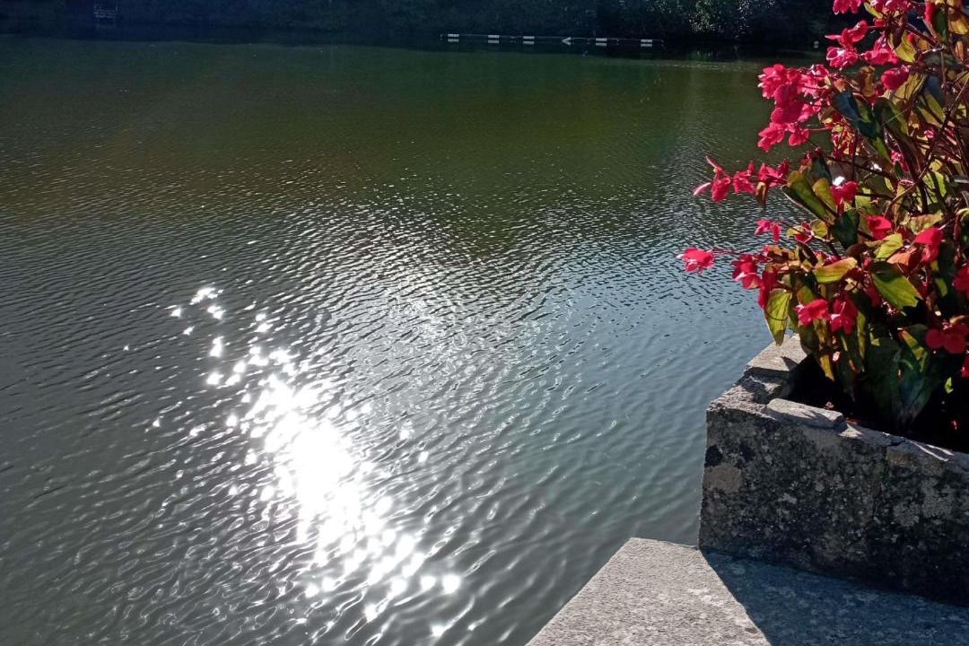 Photo of Others in Fourmies