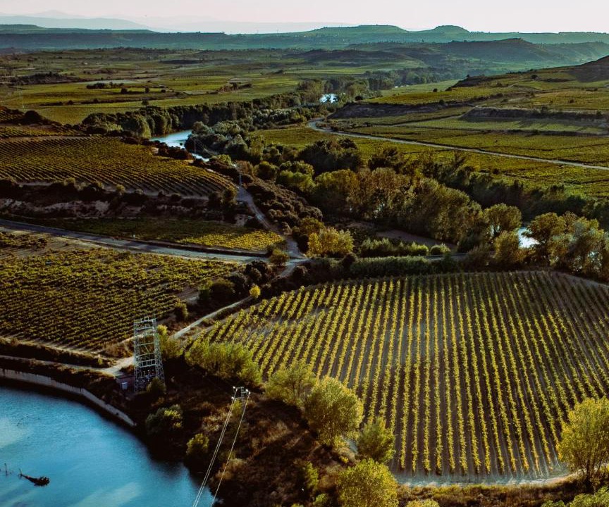 Photo of Others in Banos de Ebro